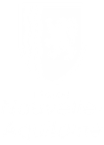 Région Nouvelle-Aquitaine